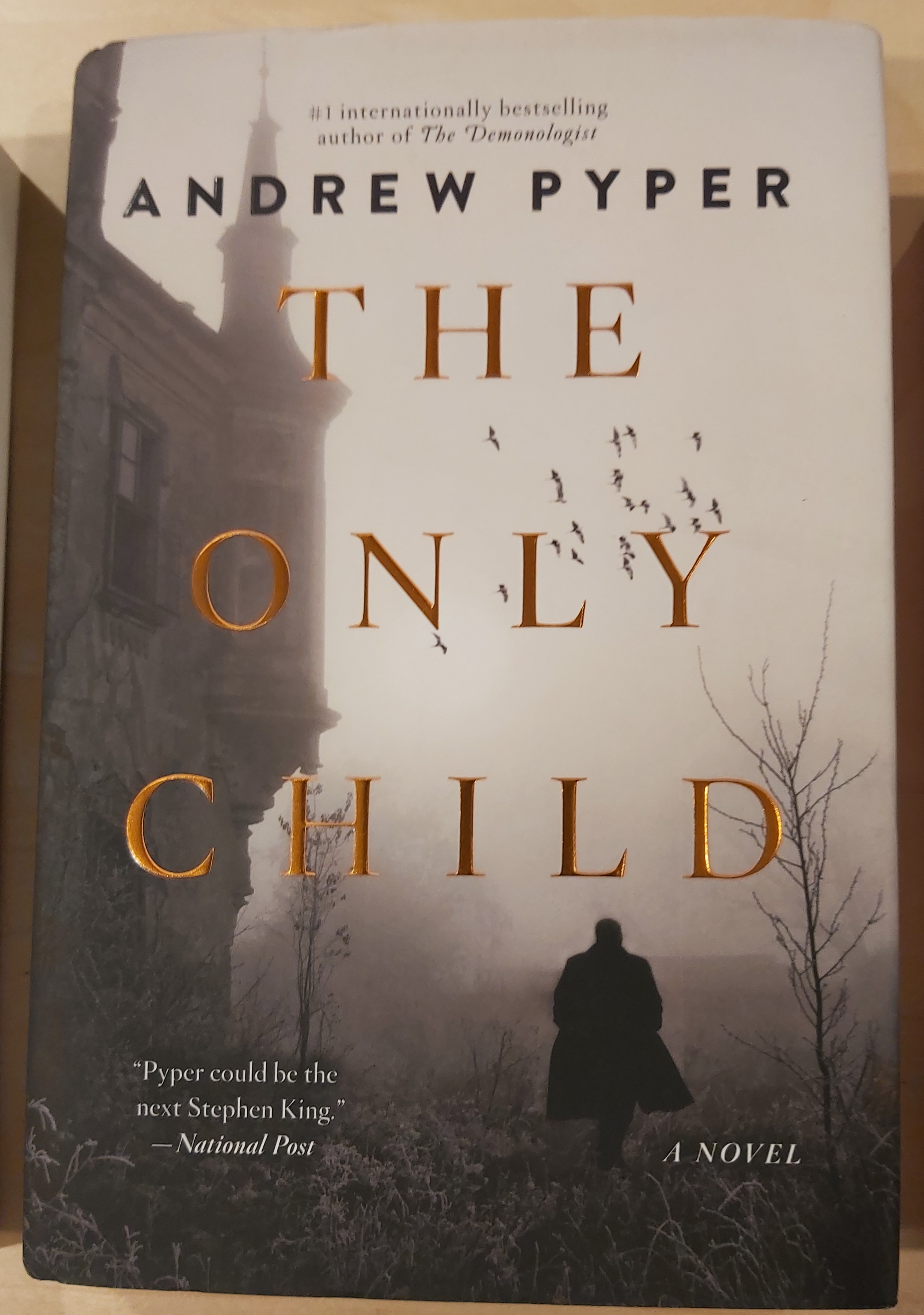 the only child hardcover
